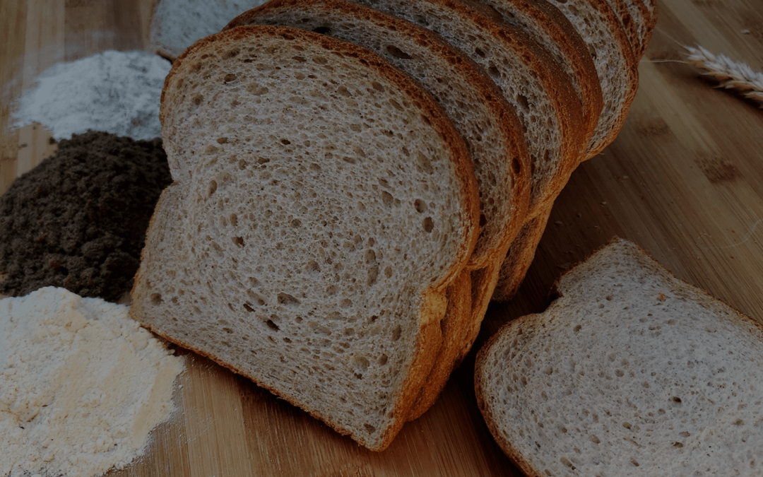 Du pain aux grillons est maintenant offert aux Montréalais.